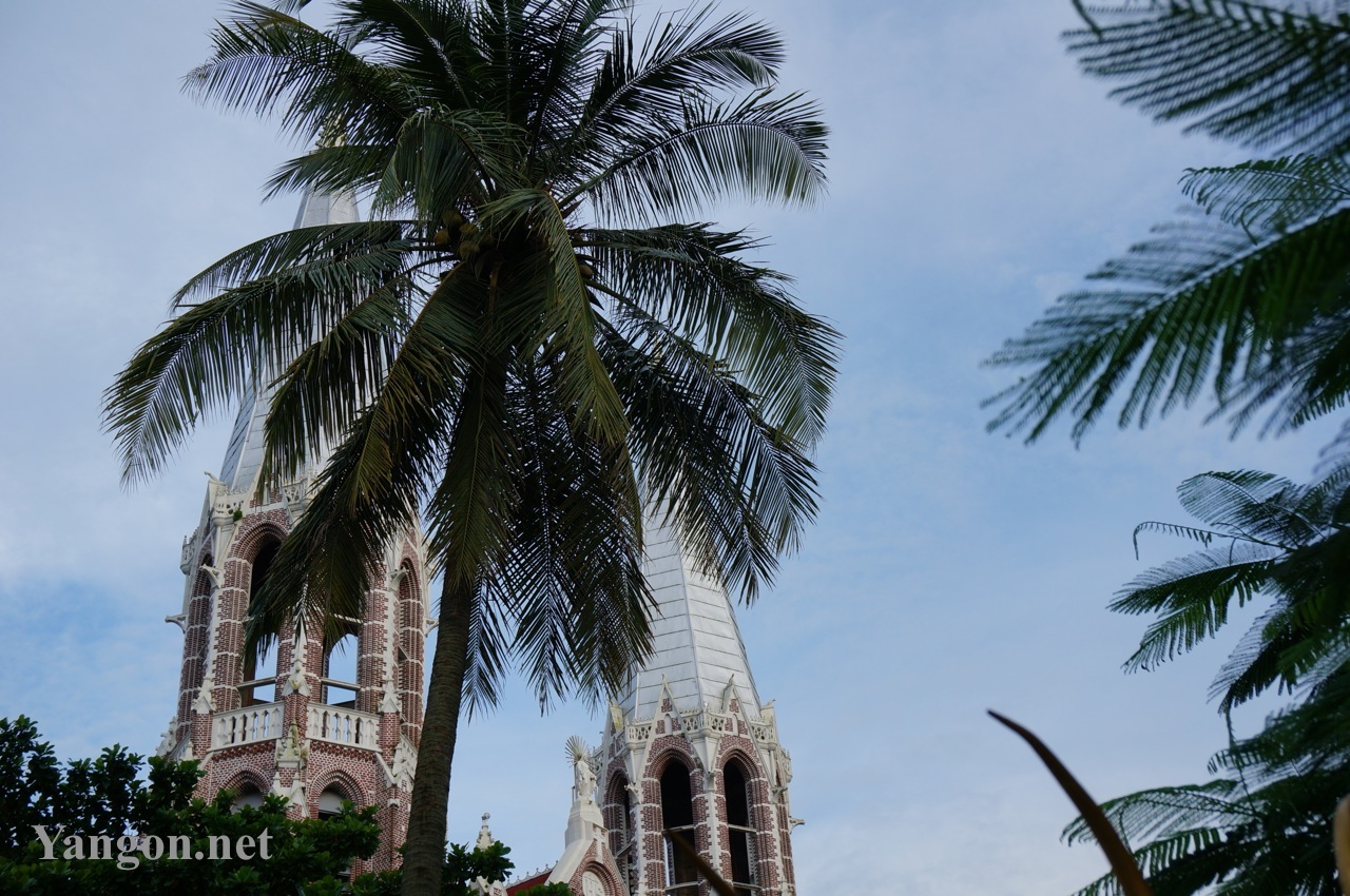 St-Mary's-Catheral-Palmtree